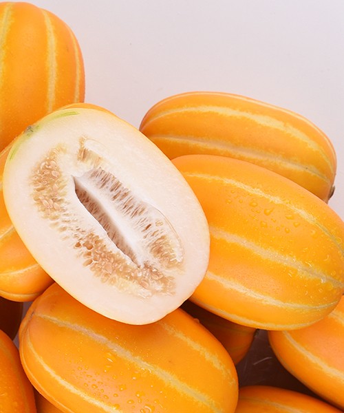 제철 성주참외 2kg(중/9과내)